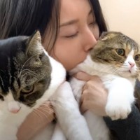 ママが親子猫を『同時に猫吸い』した結果…『感情が無くなる様子』が面白すぎると96万再生「顔ｗｗ」「やれやれ感がｗ」と爆笑の声