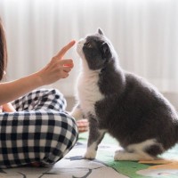 愛猫が『飼い主さんを舐める理由』は場所によって違う！5つのパターン別に解説