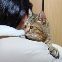 元野良猫が大好きな女の子に『初めて抱っこされた』結果…かわいすぎる光景が12万8000再生「嬉しかったんだね」「涙が出た」