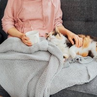 愛されたい！『猫にモテモテになる秘策』5選　猫を虜にする“猫たらし”がしていること