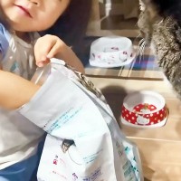 『家族によって態度を変える猫』末っ子がご飯の準備をした結果…まさかの『甘々すぎる対応』に「微笑ましいｗ」「お世話されてあげてるｗ」の声