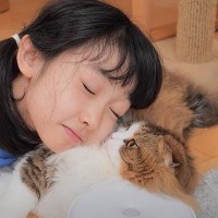 疲れ切った女の子が猫を枕にした結果…『やさしさ溢れる対応』が素敵すぎると6万3000再生「しあわせいっぱい」「信頼だね」