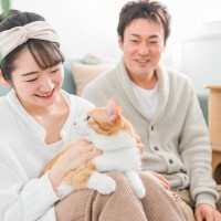 保護猫を迎えたい時、どこに行けばいい？場所ごとのメリットデメリットを猫カフェオーナーが解説！