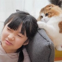 『ほっこり』猫が女の子の髪で遊び初めた結果…やり取りの様子が微笑ましすぎると12万再生「口元緩んだ」「シラを切ってるところがｗ」