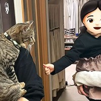 『猫アレルギーのお姉ちゃん』に抱っこしてもらいたい…甘え上手な猫の『まさかの行動』が55万再生「ほっこり」「いくらでも抱っこします」