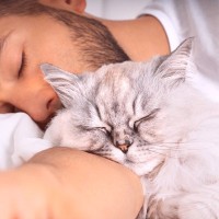 猫好きは「繊細で我慢強く、謙虚な人」が多い傾向に？豪州心理学者らが分析