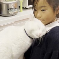 お姉ちゃんとラブラブすぎる猫…まるで『姉弟のような』尊い光景に癒やされる人続出「幸せの縮図」「ほんとに姉弟みたい」と反響の声