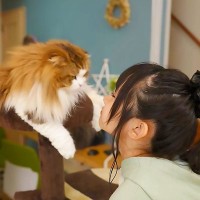 帰宅すると『おかえり』してくれる猫、学校帰りの長女が顔を近づけたら…尊すぎる光景が大反響「めっちゃ癒された…」「ホッコリ頂きました」