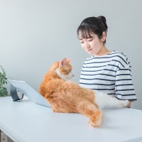 猫のお迎えを諦めてほしい…『猫を飼うと不幸になる人』の特徴4選