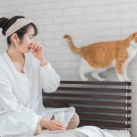 猫がいる部屋がクサイ！と思ったときに試したい『消臭対策』4選　トイレ臭や嘔吐後…消す方法はある？