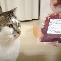 「野生目覚めてて草」元野良猫に『生肉』をあげてみた結果…驚きの変化が12万再生「吹き出してしまった」「満ち溢れてるｗ」と爆笑の声