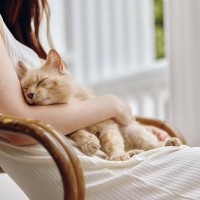 愛猫を『抱っこ大好き♡』にするための方法4選　安心してもらえる抱き方とは？