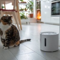 猫との暮らしに便利な『ペット家電』4選　飼い主さんの困りごとを解決してくれるスグレモノ！