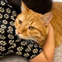 4歳の娘が『超甘えん坊の猫』と出会った結果…『まさかの変化』が22万再生の大反響「すごい才能…」「素敵な娘さんですね！」の声