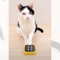 猫と『マルバツゲーム』をした結果…凄すぎる『まさかのプレイ』が2000万再生突破「天才」「タッチが正確すぎる」と賞賛と驚きの声