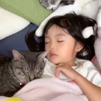 3匹の子猫と小さな女の子が『家族』になった結果…共に成長してきた4年間の軌跡と『現在の姿』に感動の声続出「尊すぎて涙が」「全員優勝」