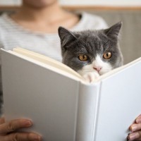 猫が人間になったら『やりそうな行為』　デートのドタキャン…ありそうかも！？