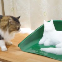 『雪で作られた猫』が部屋にいたら、元ボス猫は……予想外すぎる『まさかの光景』が19万再生「クオリティが高すぎる」「物凄く癒やされた」