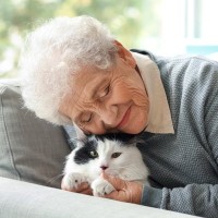 猫飼いさんが『愛猫の存在に救われた』と感じるシーン3選　猫たちは心を癒やすプロかも？