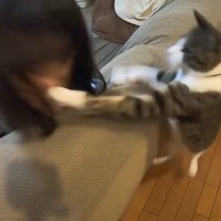 女の子と猫がじゃれ合った結果…『まさかの攻撃』が炸裂！？『本物の兄妹みたいな様子』が癒やされると話題「夢の中でも一緒なのかな」「笑った」