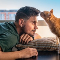 猫が『飼い主さんのニオイをかぎたくなる』のはどんなとき？4つのシーンとそのワケ