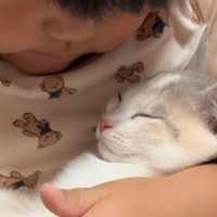 「優しい世界すぎて」暴れん坊な子猫が珍しく大人しいと思ったら…とんでもなく尊い『まさかの光景』が87万再生「愛があふれてる」「平和」