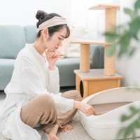 猫トイレが臭う…考えられる5つの原因と、おすすめの消臭対策