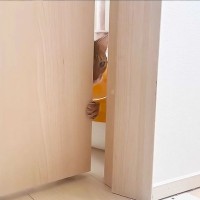 『ドアを少しだけ開けるイタズラ』で猫の反応を観察したら…あまりに可愛すぎる光景に「可愛すぎやろ…」「おててちょこんｗ」悶絶の声多数