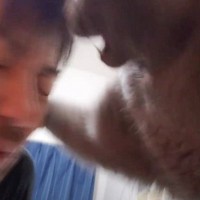 『仲良くなりたかっただけなのに…』凶暴猫にキスをしたパパ→まさかの『強烈すぎる攻撃』に爆笑の声「最高ｗｗ」「思いっきり殴られてて草」