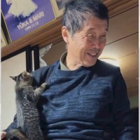 子猫を『数十年ぶり』に迎えたら、お父さんが……思わずニヤけるやりとりが112万再生「キャットタワーで笑った」「本当に素敵な名前」