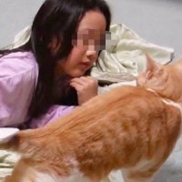 飼い主に笑われて『逆ギレ中の猫』→大好きな『次女』が現れて…まさかの『救世主』出現が4.1万再生「次女様…」「リーダーシップすげえｗ」