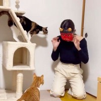 彼女のことが大好きな猫に『鬼のお面をつけた彼女』が対面したら…まさかの可愛すぎる結末が8万再生の大反響「秒で…ｗ」「ビビりｗ」爆笑の声