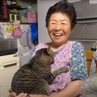 出会って数分でマブダチになった『おばあちゃんと野良猫』→癖強すぎる『まさかの光景』が29万再生「ブラッシングに爆笑」「斜め上いってた」