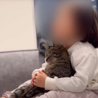 まるで人間の姉妹のように『猫と娘』を育てた結果…強い絆を感じる『現在の様子』が46万再生「素敵な家族」「ふたりの絆に涙が止まらない」