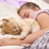 猫が『うちの子になったな…』と実感する3つのシーン しみじみ愛おしさが増す幸せな瞬間