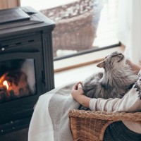 猫が『ずーっと離れたくない…』と思う人とは？共通する特徴3選　“ソファ化”が理想形？