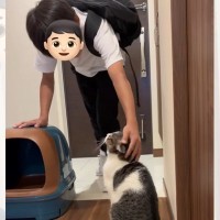 お兄ちゃんが玄関に向かうと、猫がやって来て……お出かけ前の『微笑ましいやり取り』が198万再生「なんて尊い」「幸せな気持ちになった」