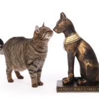 人々に崇められる『猫の神様』3選　日本のみならず、海外でも猫が神として愛される理由