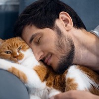 猫好きが愛猫の前だけでする『人様にあまりお見せできない姿』3選　猫愛ゆえのちょっと恥ずかしい様子