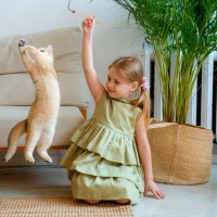 猫の暮らし『昔と今で変わったこと』3選　フードや飼育環境…猫を取り巻く時代の移り変わり