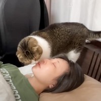 ママが散髪して『いつもの起こし方』ができなくなった猫→悩んだ末にとった行動とは…？必死な姿に「可愛すぎる」「笑い止まらん」と11万再生