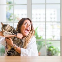 猫との暮らしの『アンガーマネージメント』！つい感情的に怒りそうになったら試したい3つのこと