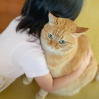 『大好きなんだってさ』女の子が猫のそばに行くと…素敵すぎる『愛情表現』が61万再生「優しい世界すぎて泣いた」「一生幸せでいてくれ」