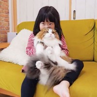 娘が『大好きな長毛猫』を抱っこして遊んだら、猫が…尊すぎる『神対応』が6万再生「️可愛過ぎます！」「ネコって子供には優しいよね」の声