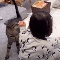 毎朝『5歳の女の子』が起きてくると、2匹の猫が……あまりにも『愛おしい光景』が22万再生の反響「涙腺ゆるむ」「愛に感動した」と絶賛