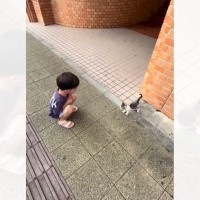 4歳の男の子が野良の子猫と出会った結果…少年の『純粋で優しい心』に涙が出ると216万再生の反響「もらい泣きした」「本当に優しい」