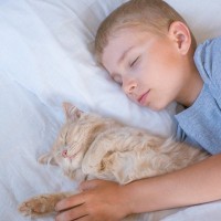 猫と『一緒に寝る』ときには、やってはいけないことがある！4つのNG行為