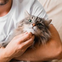 猫に『腹黒さ』を感じてしまうとき5選　あざとかわいい態度は、やっぱりわざとなの！？