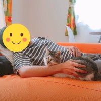 パパの看病を元野良猫にお願いしてみた結果…心温まる『優しい看病の光景』に感動する人続出「本当に優しい」「賢すぎ」と26万再生