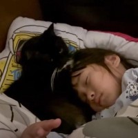 寝ようとしてベッドに入ったお姉ちゃん→猫が近づいてくると……『尊すぎる光景』が話題に　「すごい信頼関係」「最高に癒やされる」と絶賛の声